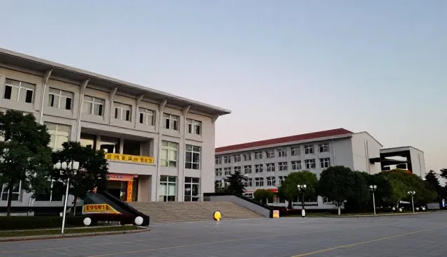家庭康复指导中的健康恢复流程分析